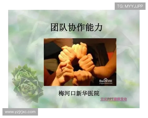 上海排球队灵活性变革引发热议探讨新战术与团队协作的重要性