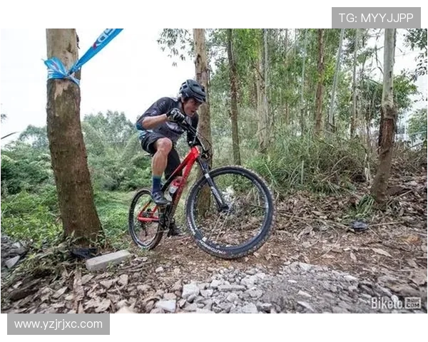 成都极限运动队中路突破战术解析与实战应用探讨