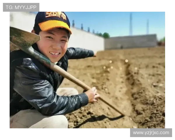 张昊的奋斗历程与成长故事：从平凡少年到卓越成就的启示与反思