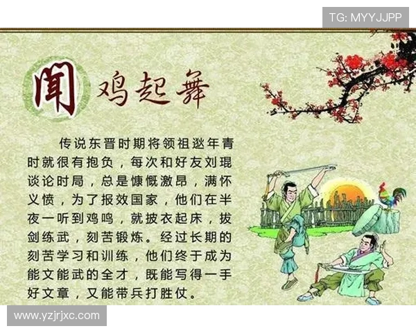 赵睿的篮球之路从青涩少年到国家队核心的成长历程与奋斗故事