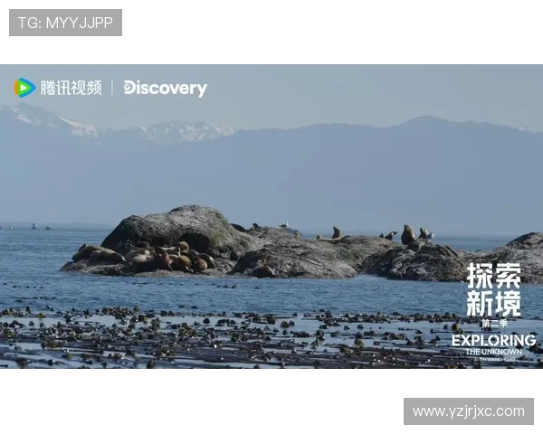 武汉攀岩队强势登顶最新攀岩节奏TOP10榜单引发关注