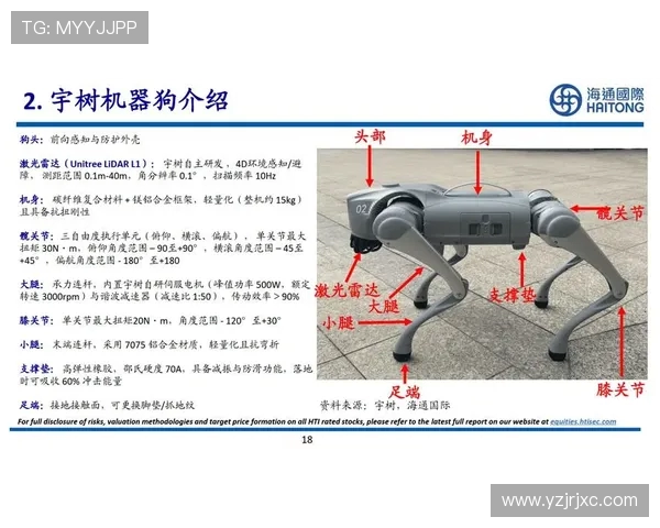 深圳羽毛球队的包夹战术揭秘与深度分析探讨