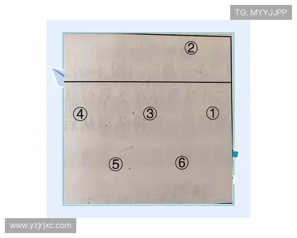 西安排球队控制打法的深度分析与战术解读