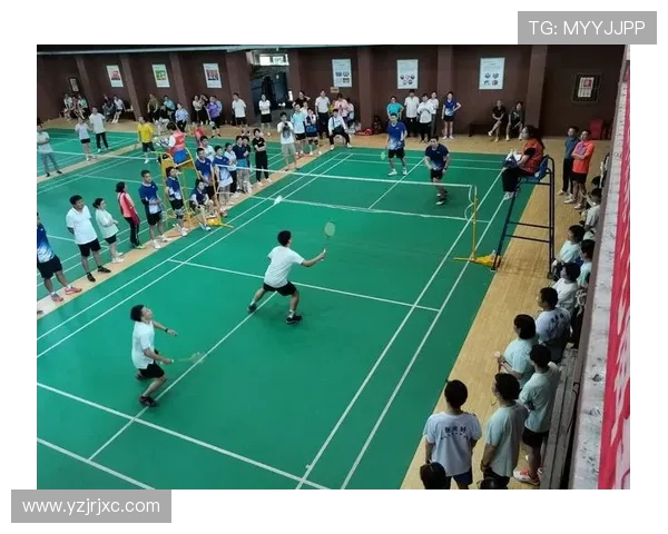 上海羽毛球队团队协作能力提升显著创新高排名引发广泛关注与赞誉