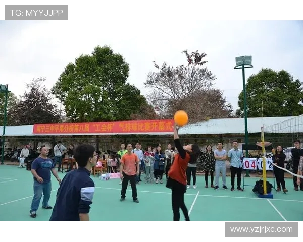 对话杨敏：回顾排球生涯的辉煌与挑战分享