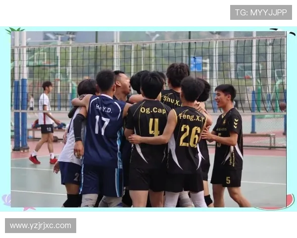 成都排球队的节奏与魅力探秘：排球运动的热情与团队精神