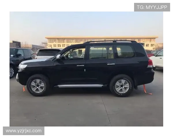 杭州羽毛球队在洲际杯积分榜中以97分稳居第一展现强劲实力